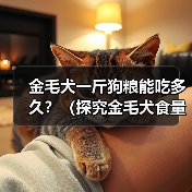金毛犬一斤狗粮能吃多久？（探究金毛犬食量及饮食管理的关键因素）(图2)