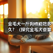 金毛犬一斤狗粮能吃多久？（探究金毛犬食量及饮食管理的关键因素）(图4)