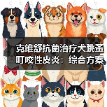 克维舒抗菌治疗犬跳蚤叮咬性皮炎：综合方案控制瘙痒与感染(图2)