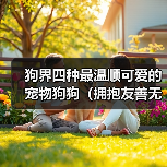 狗界四种最温顺可爱的宠物狗狗(拥抱友善无攻击,快乐共同生活)(图4) 狗界四种最温顺可爱的宠物狗狗(拥抱友善无攻击,快乐共同生活)(图3)