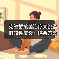 克维舒抗菌治疗犬跳蚤叮咬性皮炎：综合方案控制瘙痒与感染(图3)