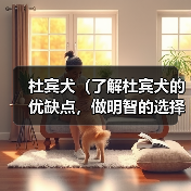 杜宾犬(了解杜宾犬的优缺点,做明智的选择)(图4) 杜宾犬(了解杜宾犬的优缺点,做明智的选择)(图4)