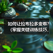 如何让拉布拉多变乖？（掌握关键训练技巧，提升拉布拉多的性和听从性）