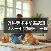 外科手术中阶实战班｜2人一组实操多，一猫一狗提升快！(图2)