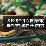 犬咬伤合并心脏病如何选治疗？海泊舒保守方案解析(图4)