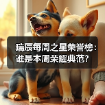瑞辰每周之星荣誉榜：谁是本周荣耀典范？(图2)