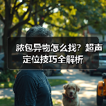 脓包异物怎么找?超声定位技巧全解析(图3) 脓包异物怎么找?超声定位技巧全解析(图3)