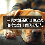 一例犬跳蚤叮咬性皮炎治疗实战 | 病例分析与综合管理要点