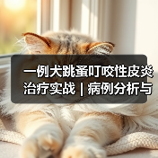 一例犬跳蚤叮咬性皮炎治疗实战 | 病例分析与综合管理要点(图2)