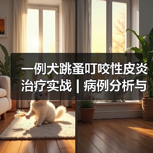 一例犬跳蚤叮咬性皮炎治疗实战 | 病例分析与综合管理要点(图3)