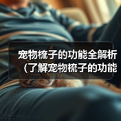 宠物梳子的功能全解析（了解宠物梳子的功能和选择方法，给宠物更好的护理）(图2)