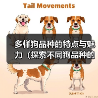多样狗品种的特点与魅力（探索不同狗品种的特色，了解你最喜欢的狗狗！）(图4)