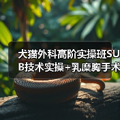 犬猫外科高阶实操班SUB技术实操+乳糜胸手术你掌握了吗？(图2)