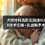 犬猫外科高阶实操班SUB技术实操+乳糜胸手术你掌握了吗？(图3)
