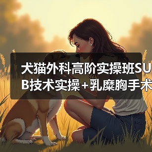犬猫外科高阶实操班SUB技术实操+乳糜胸手术你掌握了吗？(图4)