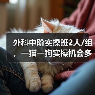 外科中阶实操班2人/组，一猫一狗实操机会多，提升快！(图2)