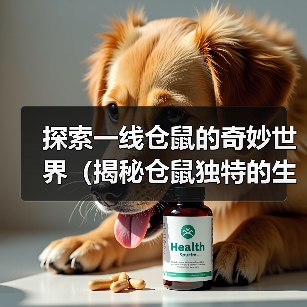 探索一线仓鼠的奇妙世界（揭秘仓鼠独特的生活习性与品种多样性）