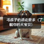 毛孩子的运动需求（了解你的犬宝贝）