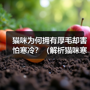 猫咪为何拥有厚毛却害怕寒冷？（解析猫咪寒冷感知机制及其毛发结构特点）