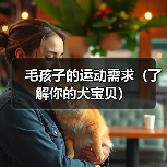 毛孩子的运动需求（了解你的犬宝贝）(图2)