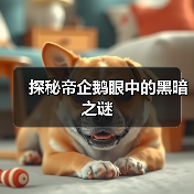 探秘帝企鹅眼中的黑暗之谜(图2)