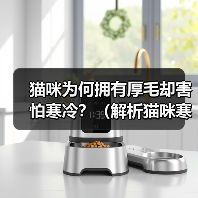 猫咪为何拥有厚毛却害怕寒冷?(解析猫咪寒冷感知机制及其毛发结构特点)(图3) 猫咪为何拥有厚毛却害怕寒冷?(解析猫咪寒冷感知机制及其毛发结构特点)(图3)