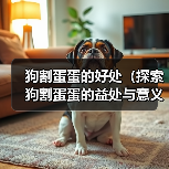 狗割蛋蛋的好处（探索狗割蛋蛋的益处与意义）