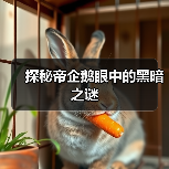 探秘帝企鹅眼中的黑暗之谜(图3)