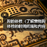 狗的体检（了解宠物狗体检的时间间隔和内容，保障狗狗的健康）