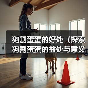 狗割蛋蛋的好处（探索狗割蛋蛋的益处与意义）(图2)
