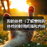 狗的体检(了解宠物狗体检的时间间隔和内容,保障狗狗的健康)(图3) 狗的体检(了解宠物狗体检的时间间隔和内容,保障狗狗的健康)(图3)