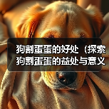 狗割蛋蛋的好处（探索狗割蛋蛋的益处与意义）(图4)