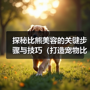 探秘比熊美容的关键步骤与技巧(打造宠物比熊的无可挑剔之美)(图2) 探秘比熊美容的关键步骤与技巧(打造宠物比熊的无可挑剔之美)(图2)
