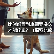 比熊感冒到底需要多久才能痊愈？（探索比熊感冒的痊愈时间和关键因素）(图2)
