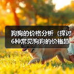 狗狗的价格分析（探讨6种常见狗狗的价格趋势和购买建议）