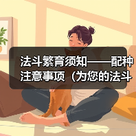 法斗繁育须知——配种注意事项（为您的法斗健康繁衍保驾护航）(图2)