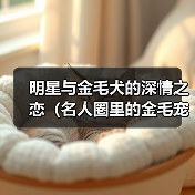 明星与金毛犬的深情之恋(名人圈里的金毛宠儿们)(图4) 明星与金毛犬的深情之恋(名人圈里的金毛宠儿们)(图4)