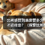 比熊感冒到底需要多久才能痊愈？（探索比熊感冒的痊愈时间和关键因素）(图4)