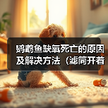 鹦鹉鱼缺氧死亡的原因及解决方法（滤筒开着为何鹦鹉鱼仍缺氧？如何避免鹦鹉鱼缺氧死亡？）(图2)