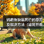 鹦鹉鱼缺氧死亡的原因及解决方法（滤筒开着为何鹦鹉鱼仍缺氧？如何避免鹦鹉鱼缺氧死亡？）(图3)