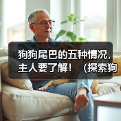 狗狗尾巴的五种情况，主人要了解！（探索狗狗尾巴的姿态和意义，助你了解你的宠物更多