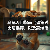 乌龟入门指南（蛋龟对比与推荐，以及高端蛋龟鉴赏）