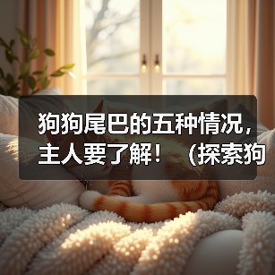 狗狗尾巴的五种情况，主人要了解！（探索狗狗尾巴的姿态和意义，助你了解你的宠物更多。）(图2)