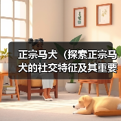 正宗马犬（探索正宗马犬的社交特征及其重要性）(图3)