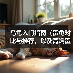 乌龟入门指南（蛋龟对比与推荐，以及高端蛋龟鉴赏）(图3)