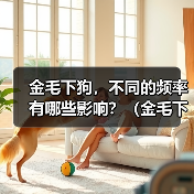 金毛下狗，不同的频率有哪些影响？（金毛下狗频率与健康状况的关系）(图2)