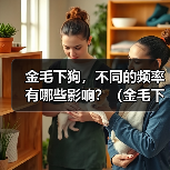 金毛下狗，不同的频率有哪些影响？（金毛下狗频率与健康状况的关系）(图4)