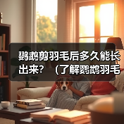 鹦鹉剪羽毛后多久能长出来？（了解鹦鹉羽毛生长周期及注意事项）(图4)
