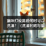 猫咪打疫苗后何时可以洗澡？（洗澡时间与猫咪健康的关键）