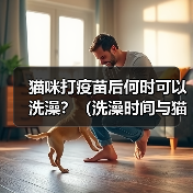 猫咪打疫苗后何时可以洗澡？（洗澡时间与猫咪健康的关键）(图3)